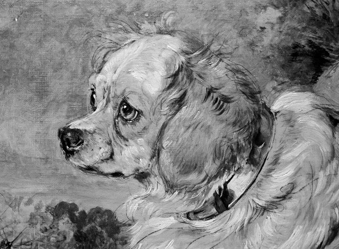 Edwin Landseer, Infra Red Light