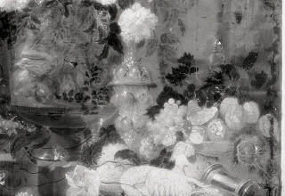 Jan de Heem, Infra Red light